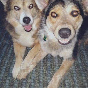 Meet your Posher, Posh